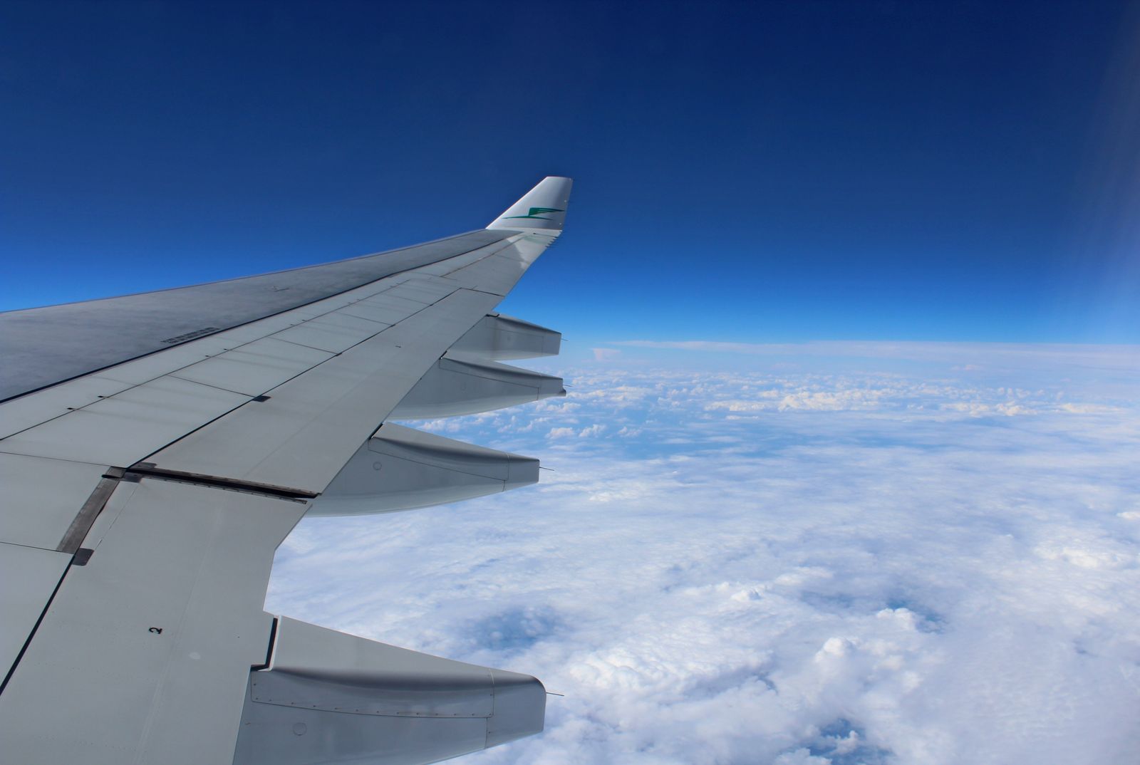 Medical Tourism Statistics 2026